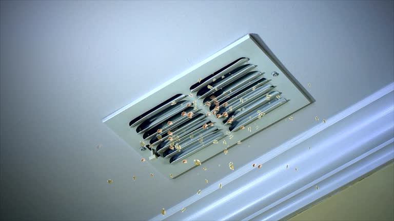 Air Duct Mold Removal in KY
