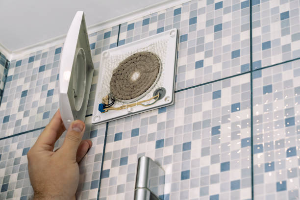 Best Professional Duct Cleaning Services  in South Shore, KY
