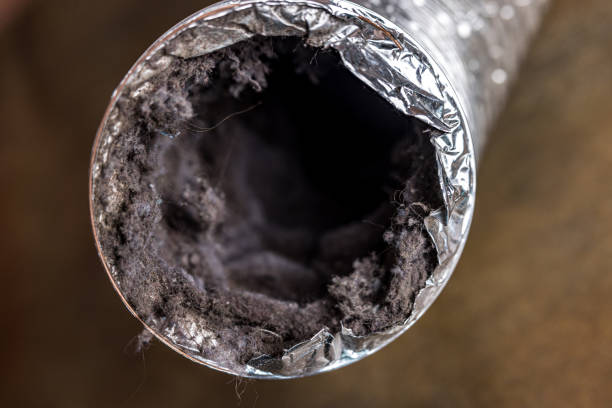Best Ventilation Cleaning Services  in South Shore, KY